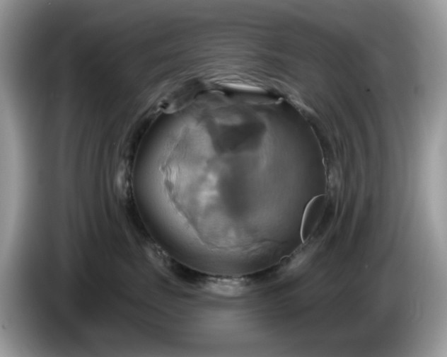 X0000086220671200704121858