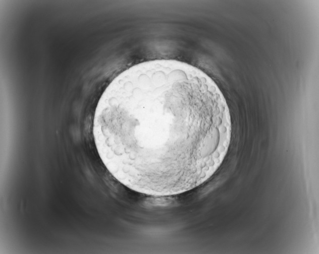 X0000086220672200704121858