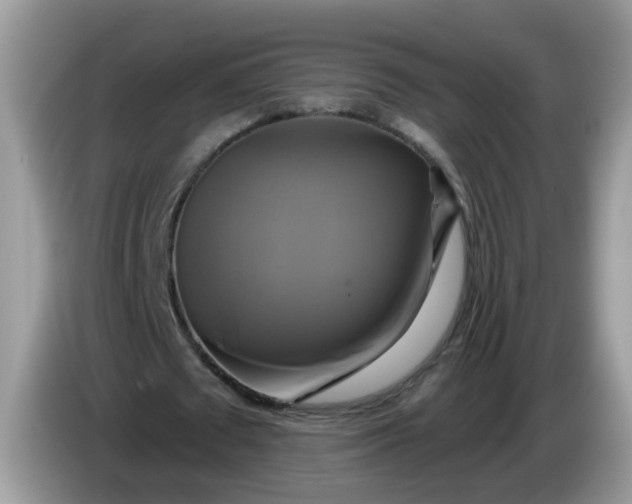 X0000086220673200704121857