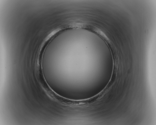 X0000086220674200704121857