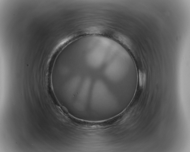 X0000086220675200704121857