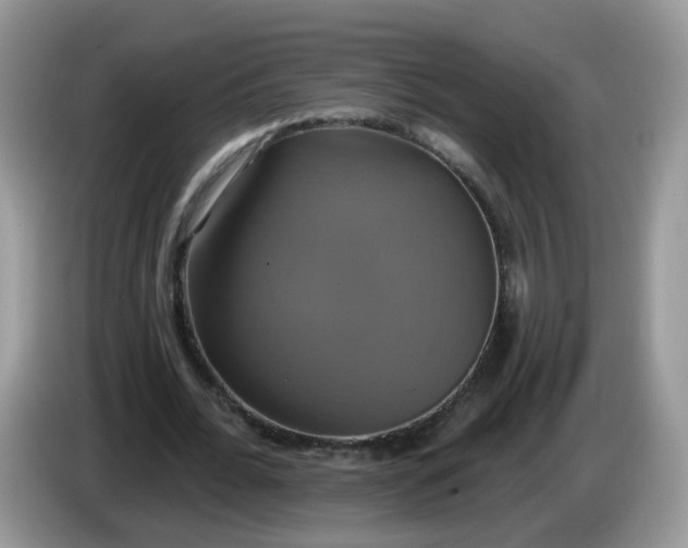 X0000086220676200704121857