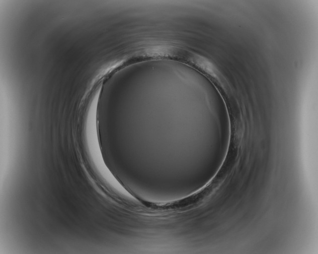 X0000086220677200704121857