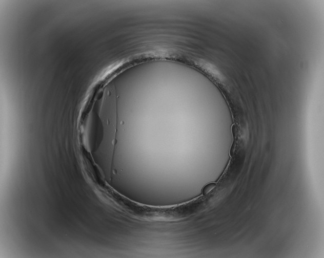 X0000086220678200704121857