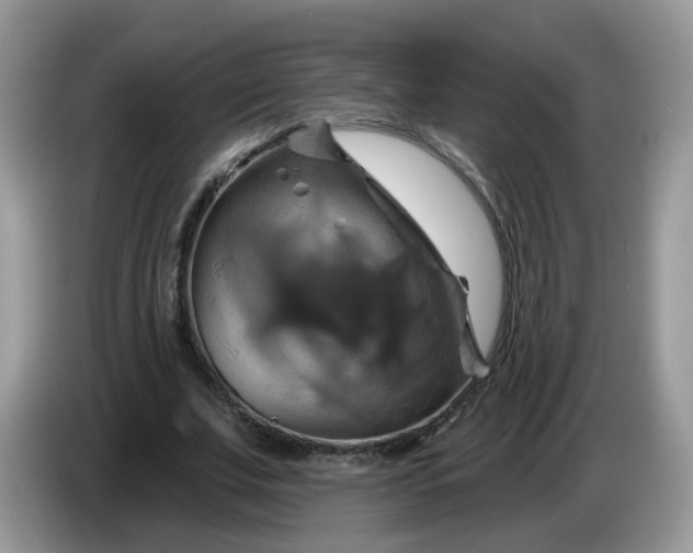 X0000086220679200704121857