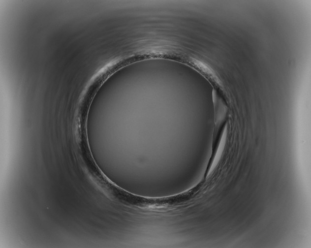 X0000086220680200704121857