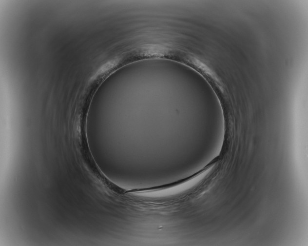 X0000086220681200704121857