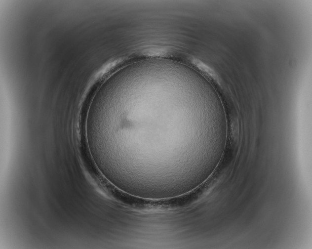 X0000086220682200704121857