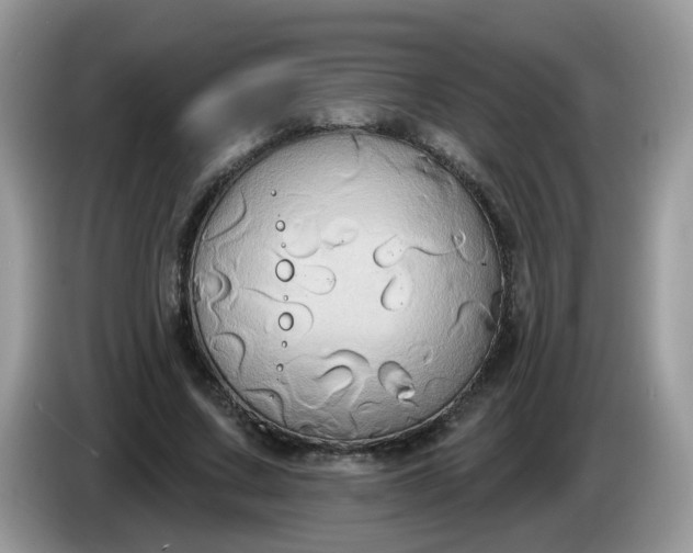 X0000086220683200704121857