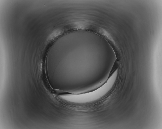 X0000086220685200704121857