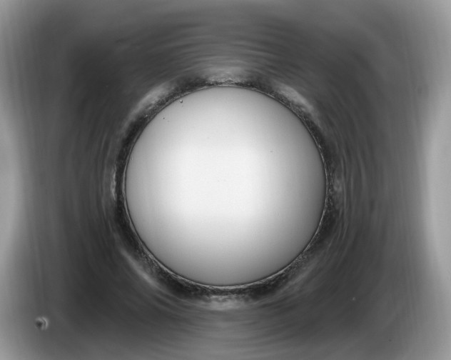 X0000086220686200704121857