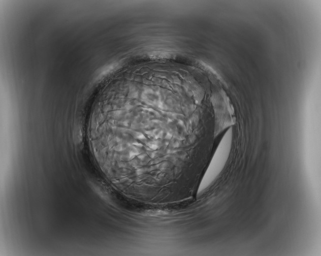 X0000086220687200704121857