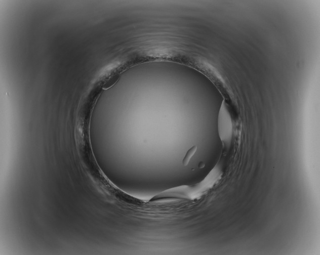 X0000086220688200704121857