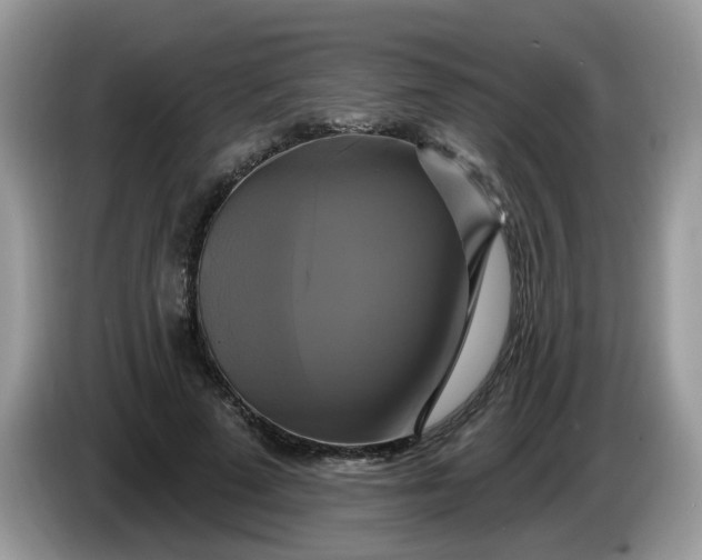 X0000086220689200704121857