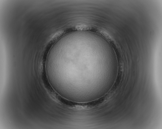 X0000086220690200704121857