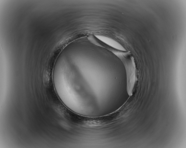 X0000086220691200704121857