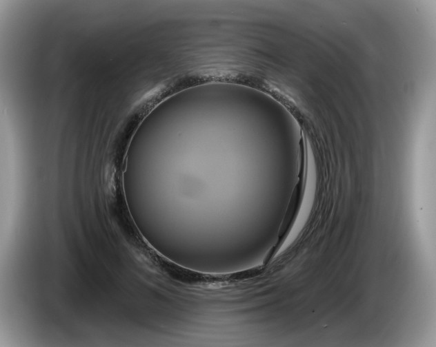 X0000086220692200704121857