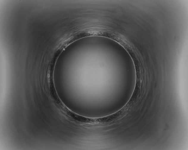 X0000086220696200704121857