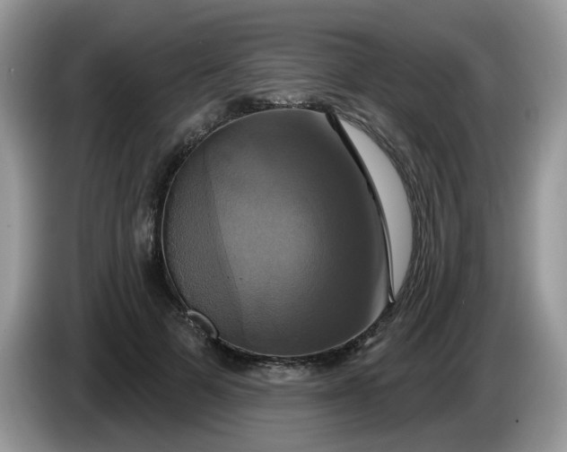 X0000086220697200704121857