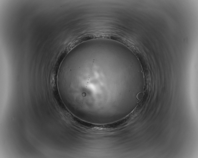 X0000086220699200704121857