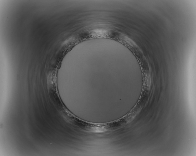 X0000086220701200704121857