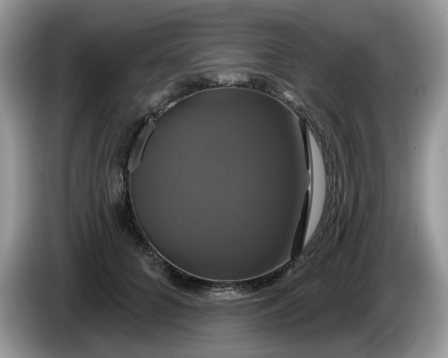 X0000086220704200704121857