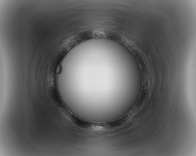 X0000086220706200704121857