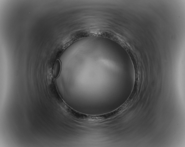 X0000086220707200704121857