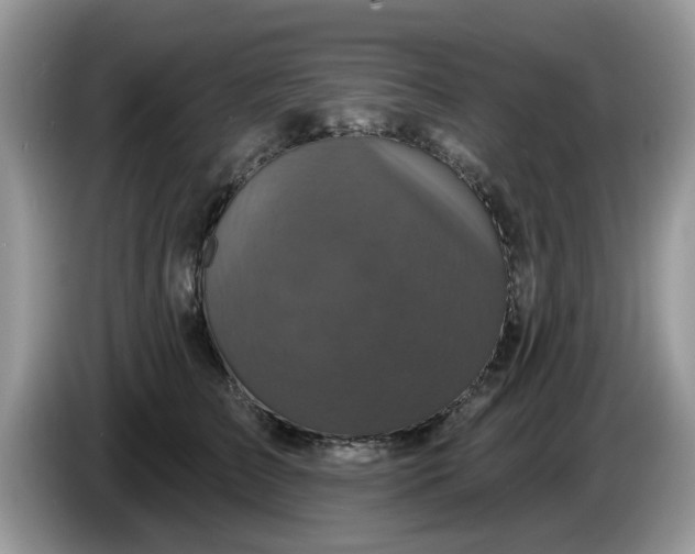 X0000086220709200704121857