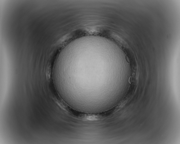 X0000086220710200704121857