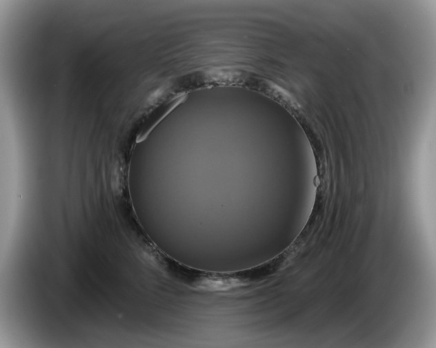 X0000086220712200704121857