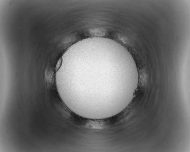 X0000086220713200704121857