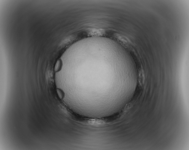 X0000086220714200704121857