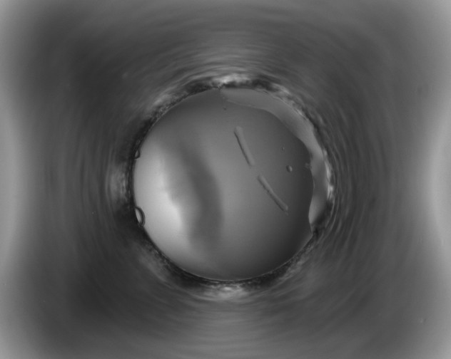 X0000086220715200704121857