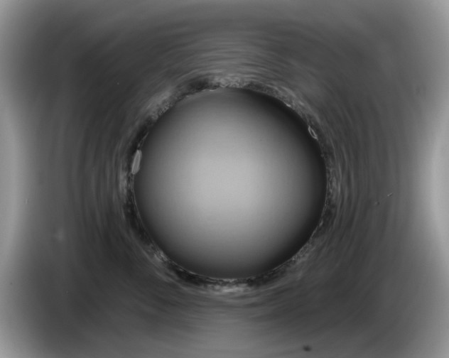 X0000086220716200704121857