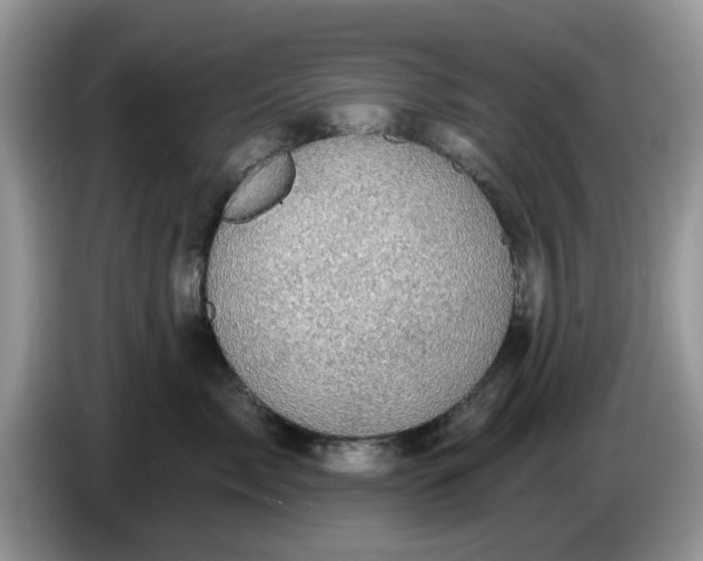 X0000086220717200704121857