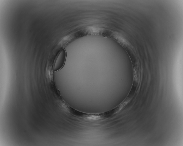 X0000086220718200704121857