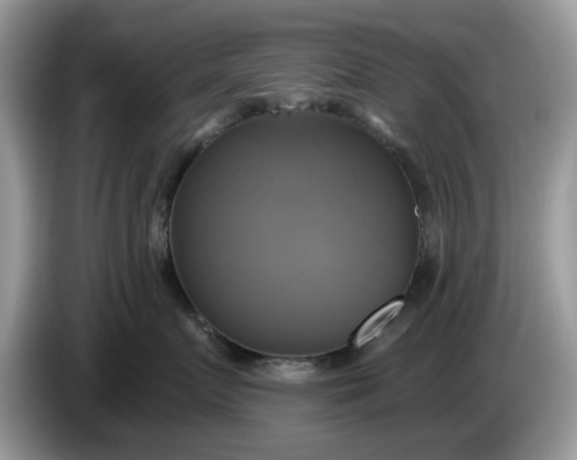 X0000086220719200704121857