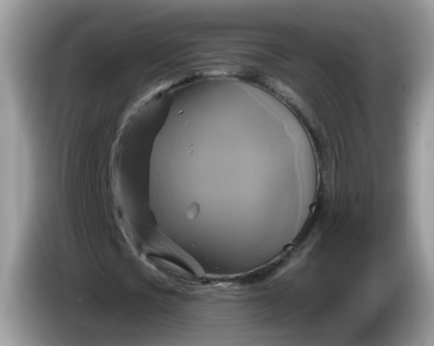 X0000086220721200704121856