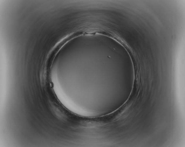 X0000086220722200704121856