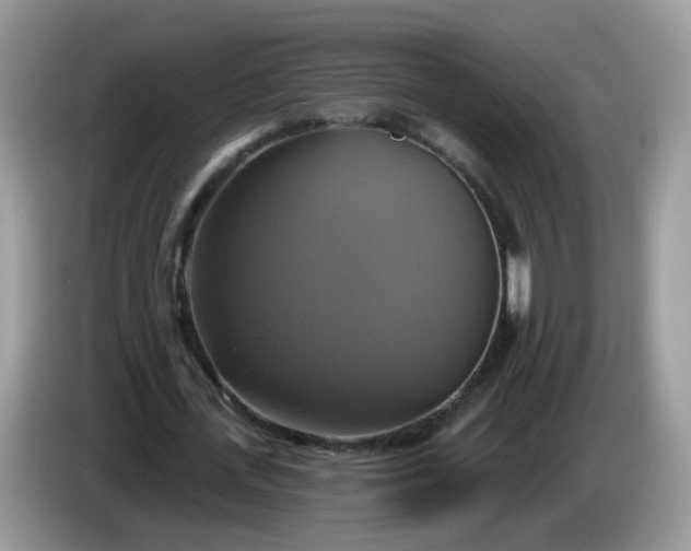 X0000086220723200704121856