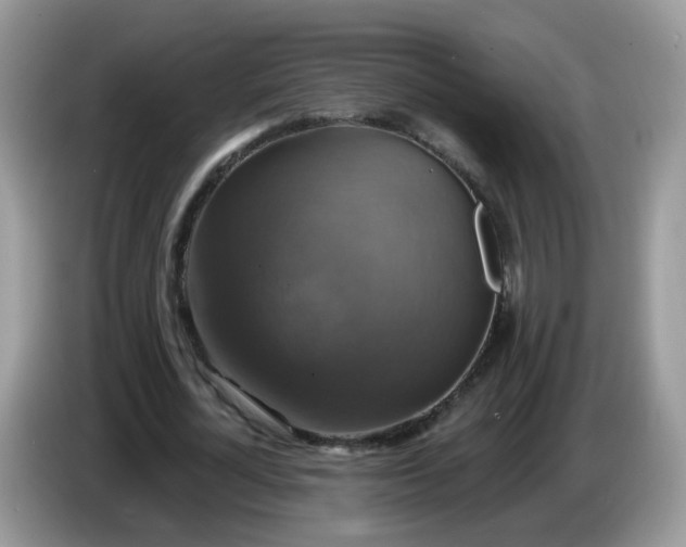 X0000086220724200704121856