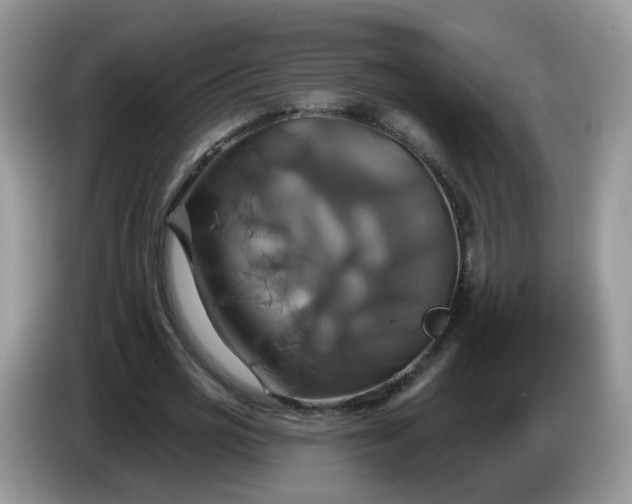 X0000086220725200704121856