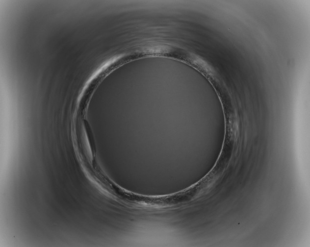 X0000086220726200704121856