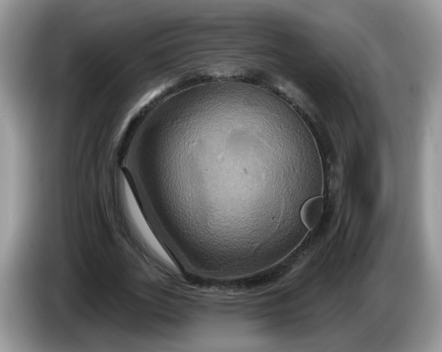 X0000086220727200704121856