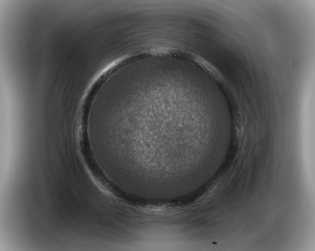 X0000086220728200704121856