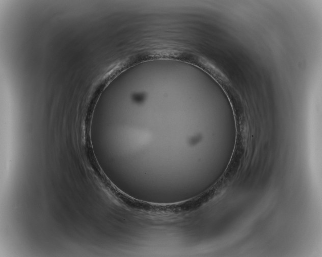 X0000086220729200704121856