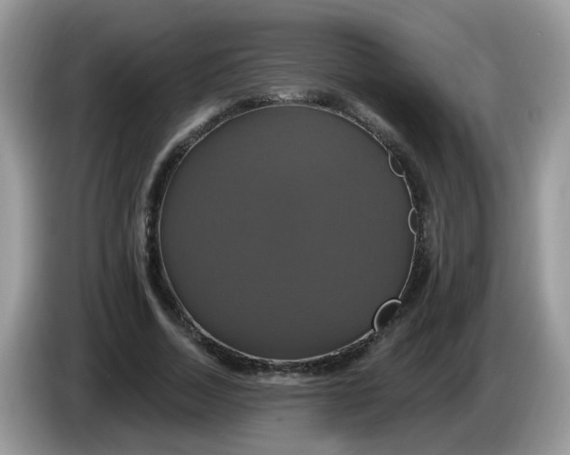 X0000086220730200704121856