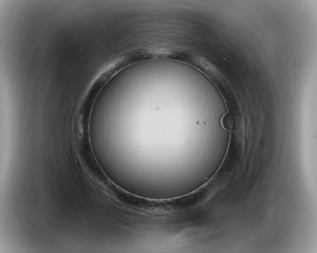 X0000086220731200704121856