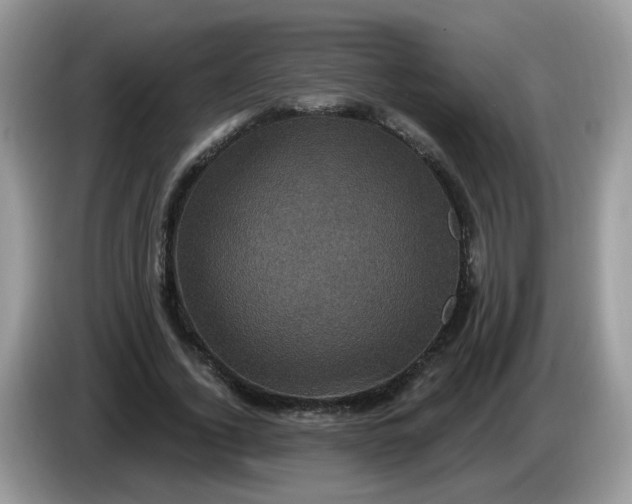 X0000086220732200704121856